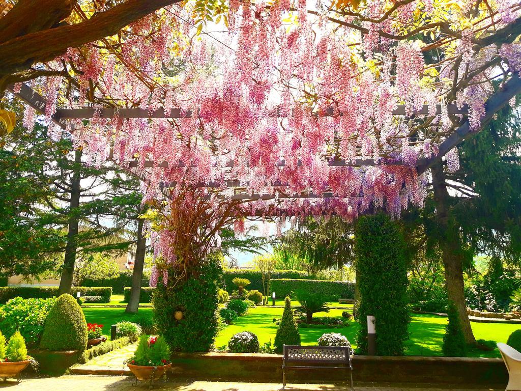Il Casale Di Riardo Luxury B&B Dış mekan fotoğraf