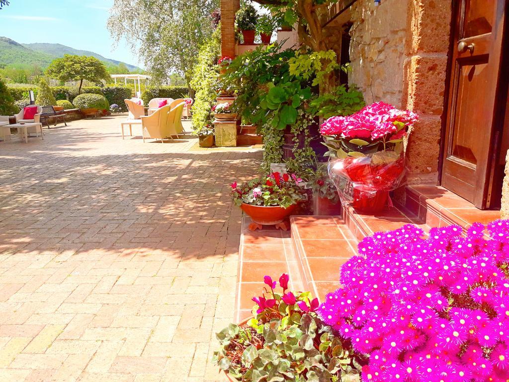 Il Casale Di Riardo Luxury B&B Dış mekan fotoğraf