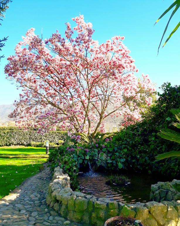 Il Casale Di Riardo Luxury B&B Dış mekan fotoğraf
